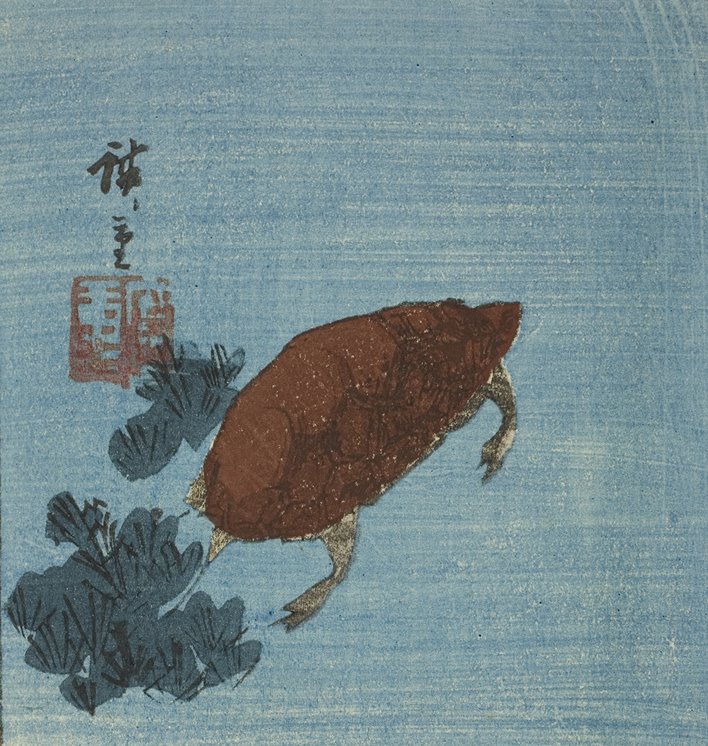 Turtle, by Utagawa Hiroshige, c. 1840.
