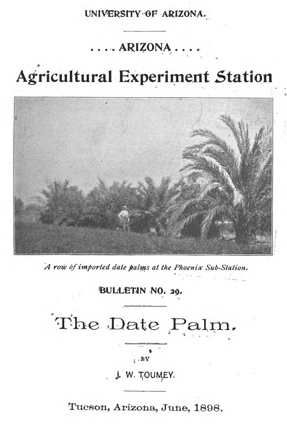 University of Arizona’s Agricultural Experiment Station bulletin dedicated entirely to the date palm.