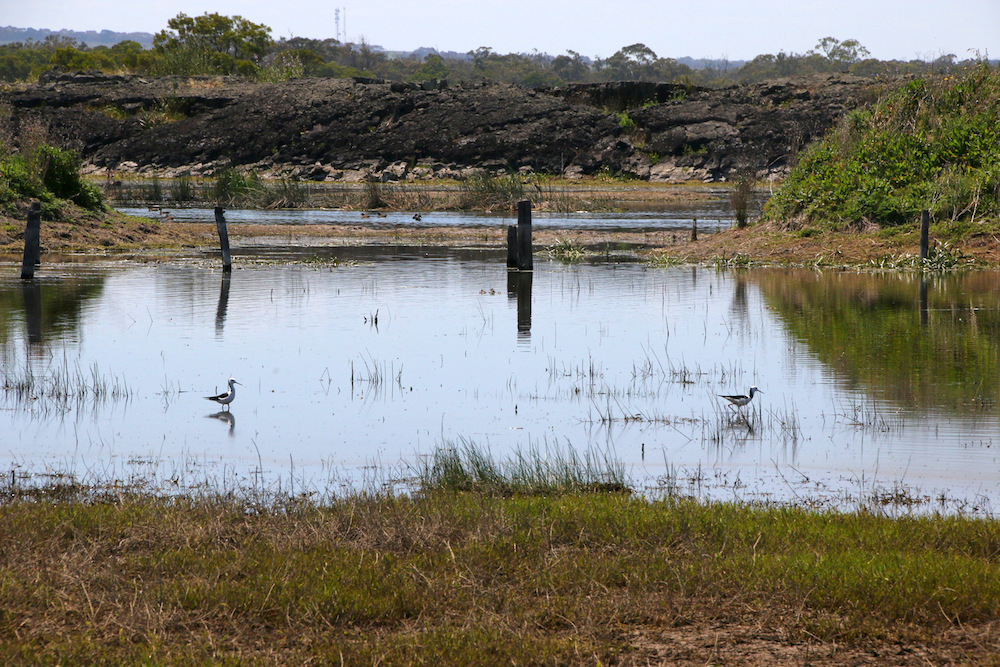 Lake Condah, 2015. Photograph by Lorraine Phelan. Flickr (CC BY 2.0).