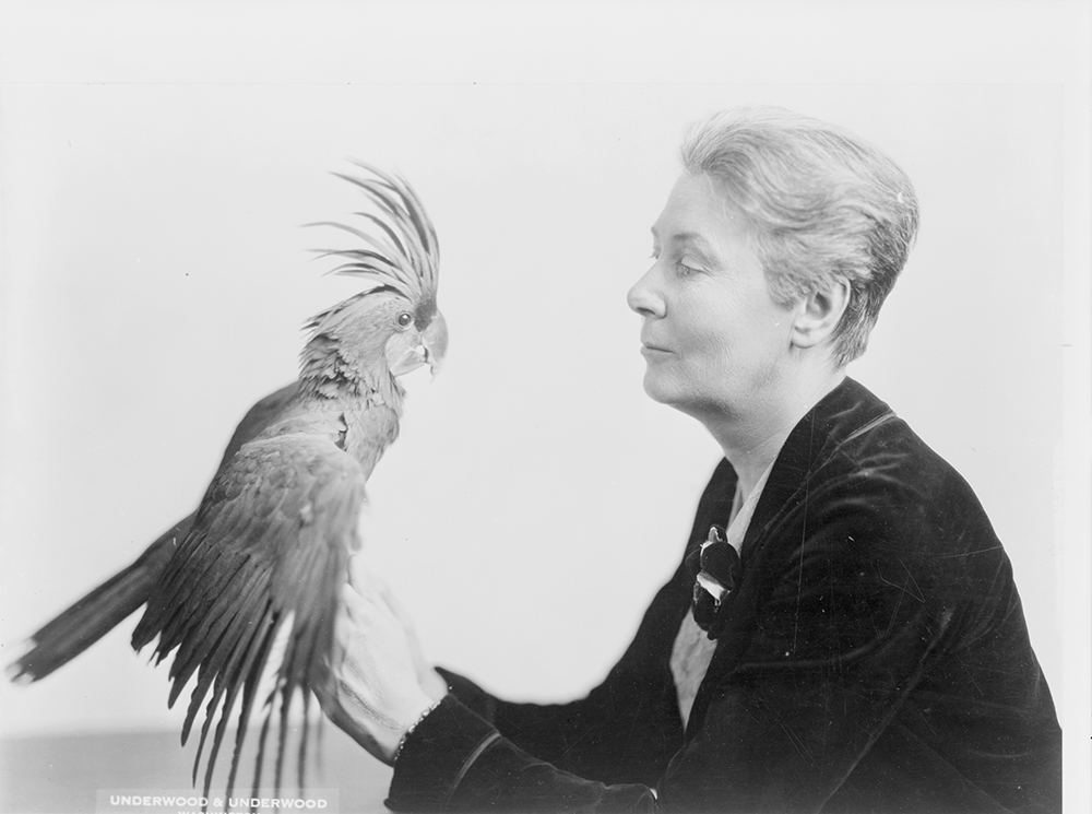 “Winsome Washington Woman Has Rare Parrot for Pet,” 1928. Photograph by Underwood & Underwood. Library of Congress, Prints and Photographs Division.