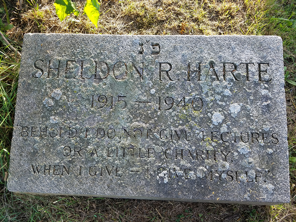Photograph of Sheldon Harte’s gravestone in Beth Olam Cemetery, Queens, New York, by Julia Harte.
