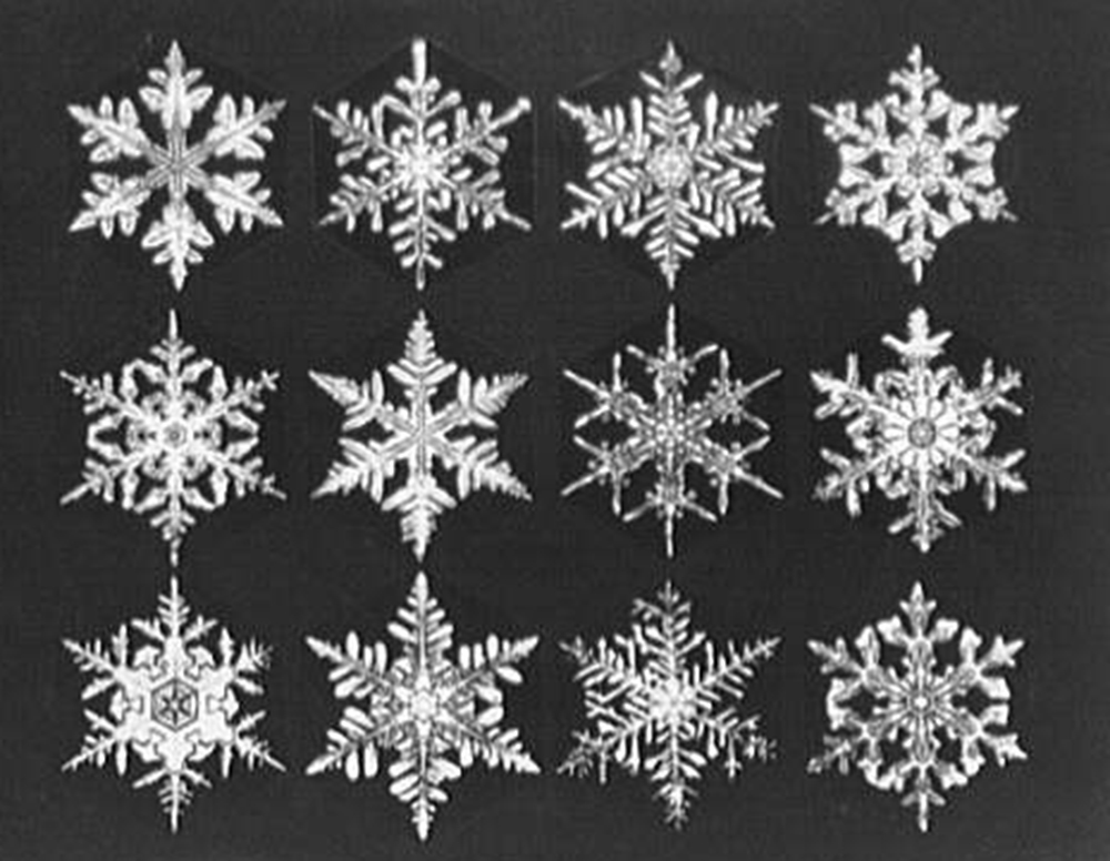 Snowflakes, three rows of four, by Theodor Horydczak, c. 1920. Library of Congress, Prints and Photographs Division.