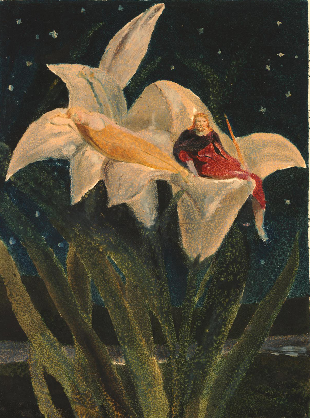 Print of a landscape with starry sky; in the foreground two lilies, on which repose the King and Queen of the fairies, by William Blake, 1795.
