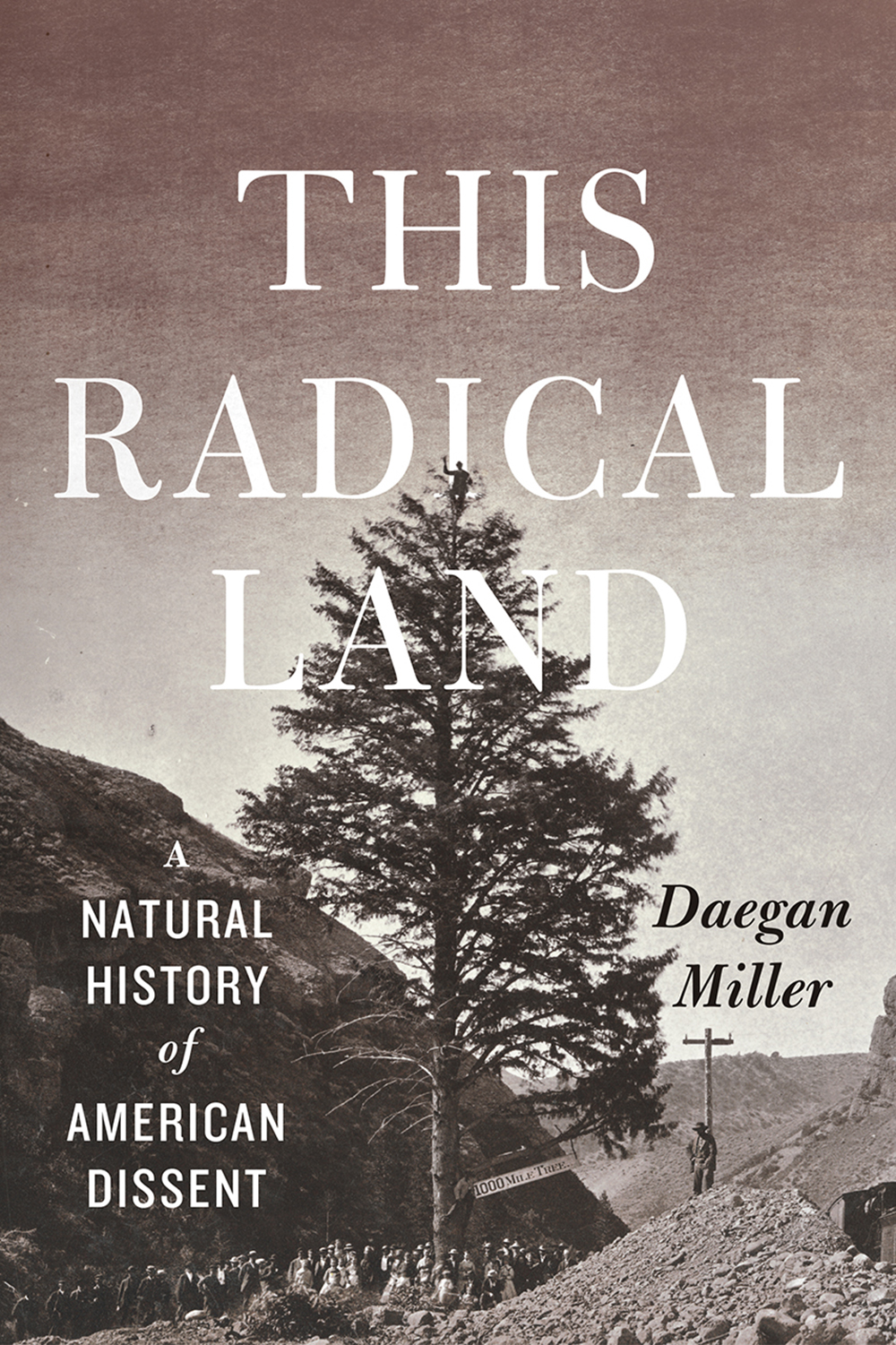 Daegan Miller, This Radical Land (University of Chicago Press, 2018).