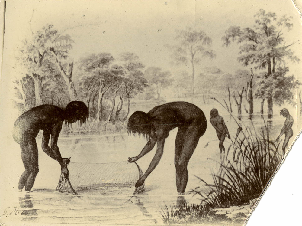 Illustration depicting four Indigenous Australian men standing in an expanse of water, c. 1900. Photograph by William Blandowski. British Museum.