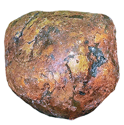 An irregular coral-colored object with gray markings