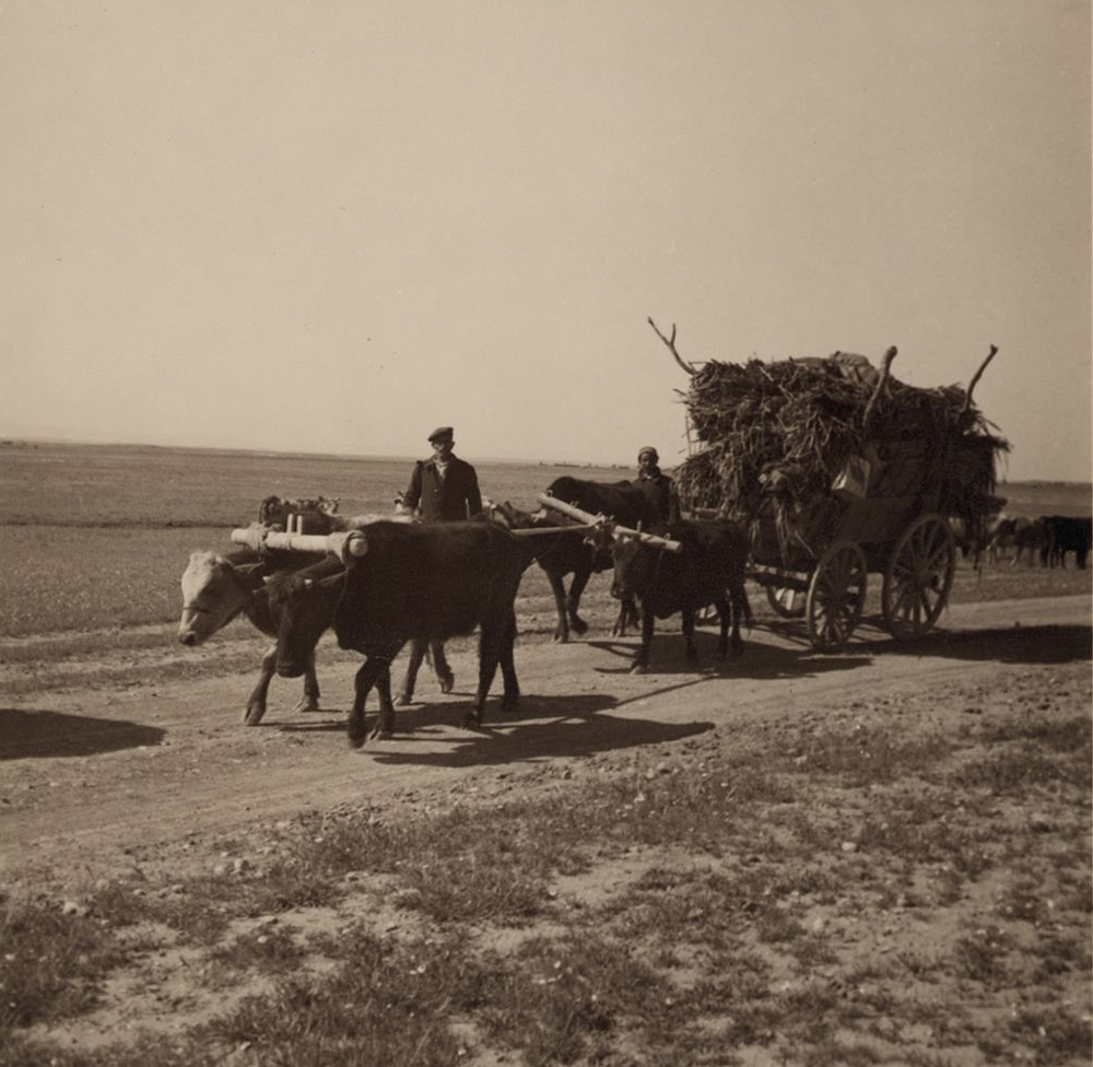 Assyrian refugees moving to a new village, 1939. Photograph by John D. Whiting.