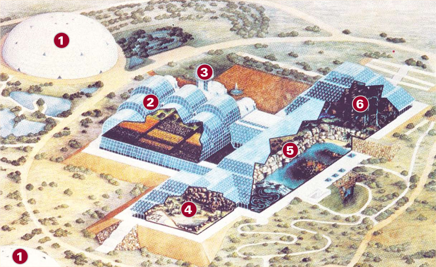 A drawing of the exterior of Biosphere 2, with cut aways to show the interior. The building is a multi-part glass structure surrounded by fields.