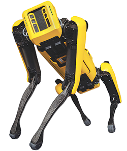 Yellow and black robot