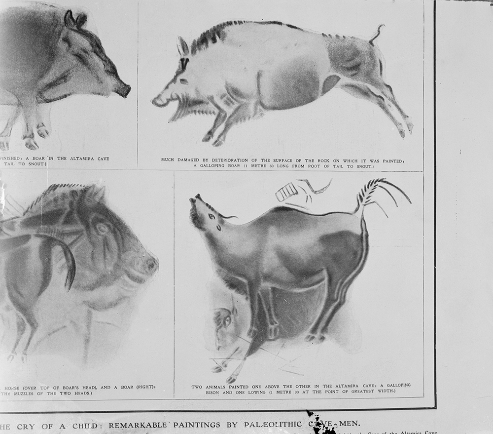 Reproductions of cave paintings in the Altamira Cave, Spain, from the Illustrated London News, August 17, 1912. Library of Congress, Prints and Photographs Division.