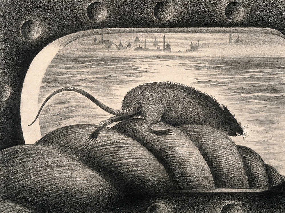 A rat leaving a ship via the mooring rope, thus spreading the plague, by A.L. Tarter, c. 1940. Wellcome Collection. 