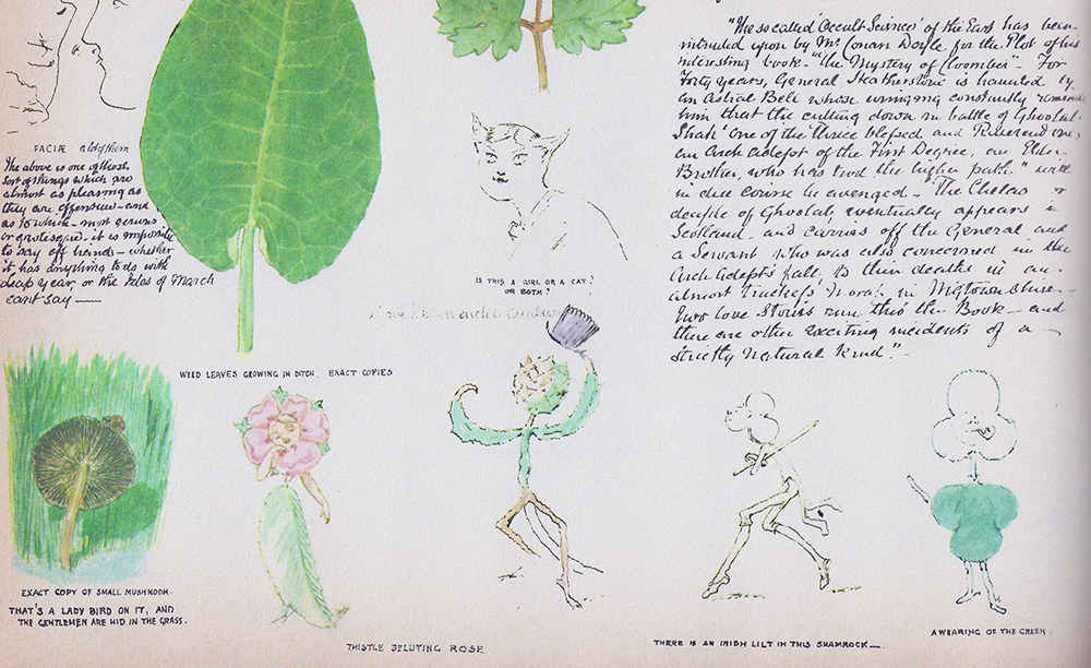 A page of illustrations from The Doyle Diary.