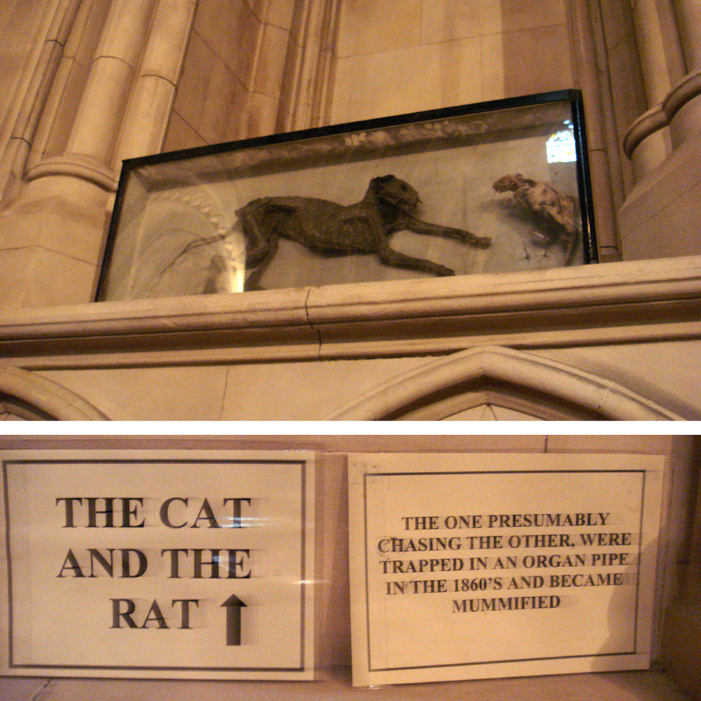 The Cat and the Rat at Christ Church Cathedral in Dublin, 2007. Photograph by Chris Dlugosz. Flickr (CC BY 2.0).