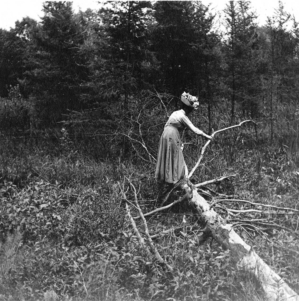Eloise Butler Crossing the Swamp in Glenwood Park, 1911. Hennepin County Library, Minneapolis Newspaper Photograph Collection.