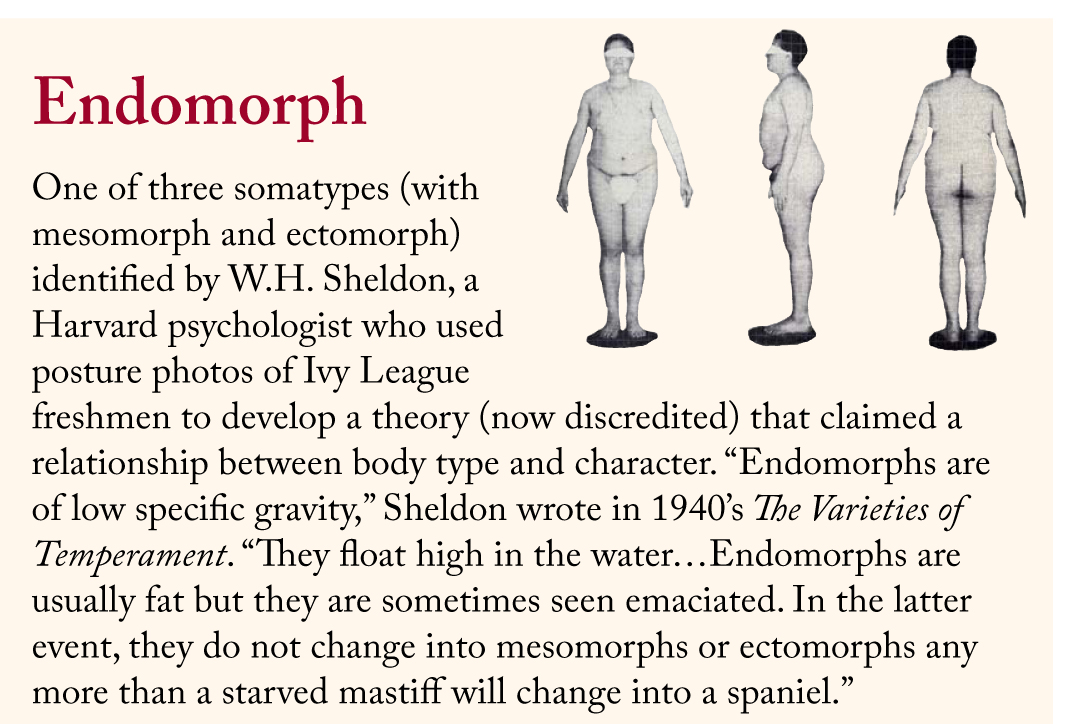 The characteristics of an endomorph.