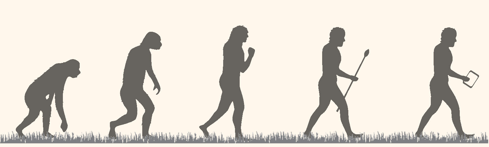 A diagram of silhouettes of an ape, a homo erectus, a homo neanderthalensis, a homo sapien with a spear, and a homo sapien with a tablet computer. They are standing on grass and all walking toward the right, suggestion the evolution of one into the other.