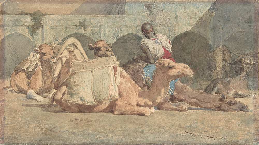 Camels Reposing, Tangiers, by Mariano Fortuny Marsal, c. 1838–74. The Metropolitan Museum of Art, Catharine Lorillard Wolfe Collection, Bequest of Catharine Lorillard Wolfe, 1887.