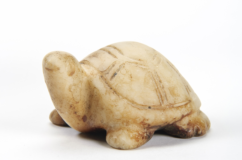 Jade figure of a turtle, China. Smithsonian Institution, National Museum of Asian Art, The Dr. Paul Singer Collection of Chinese Art of the Arthur M. Sackler Gallery; a joint gift of the Arthur M. Sackler Foundation, Paul Singer, the AMS Foundation for the Arts, Sciences, and Humanities, and the Children of Arthur M. Sackler.