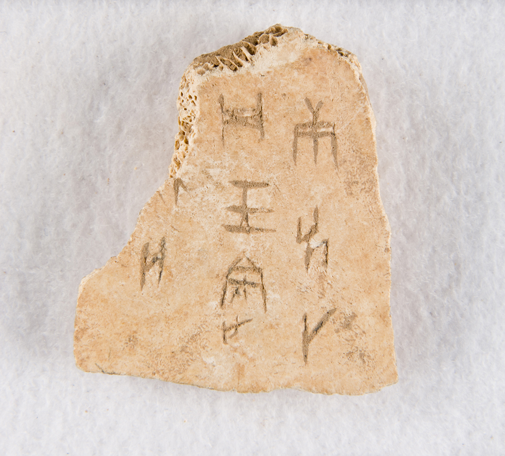 Inscribed oracle bone from the late Shang dynasty.