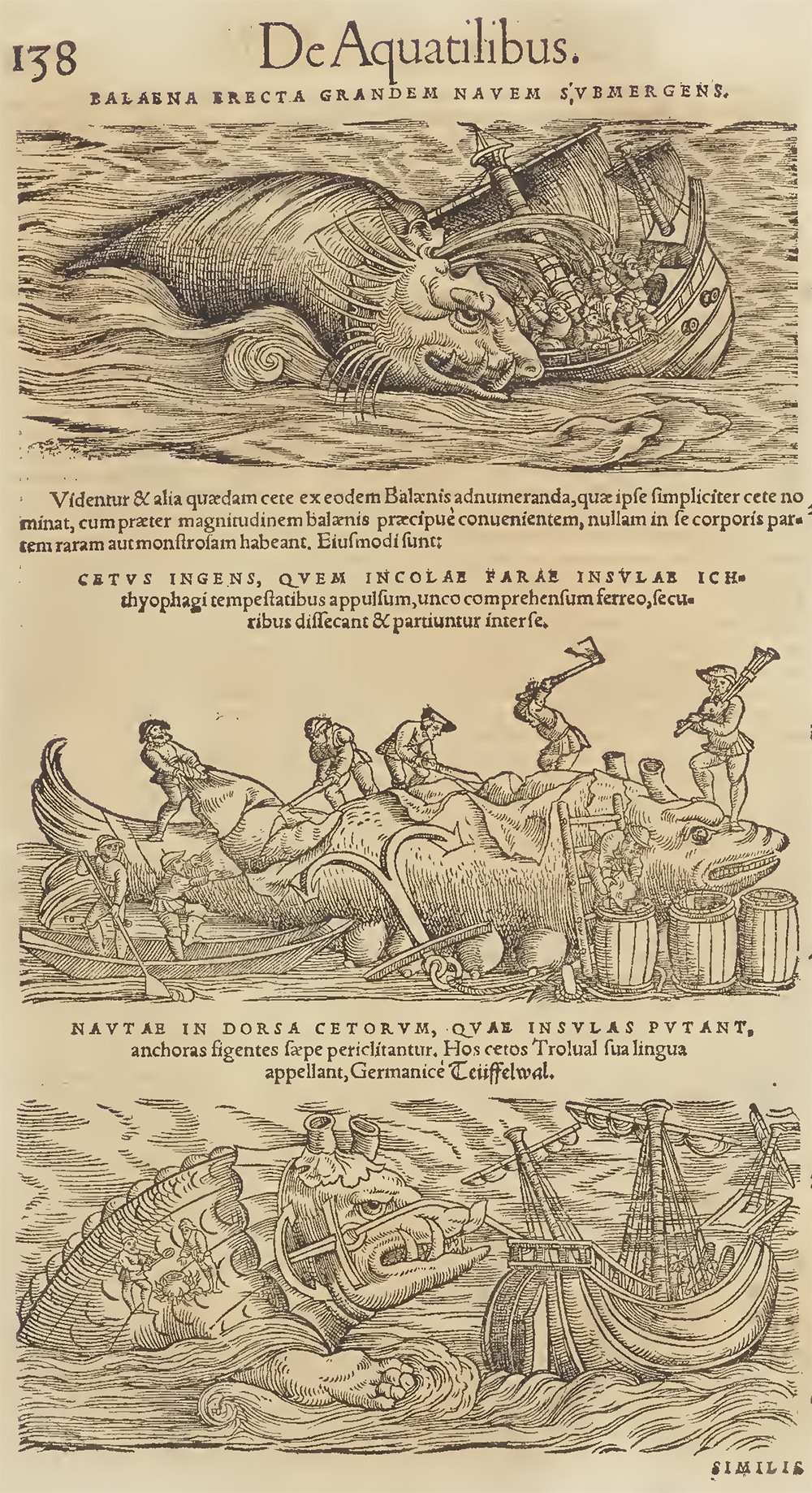 From Conrad Gessner, Historia animalium, vol. 4 (1557). The Internet Archive.