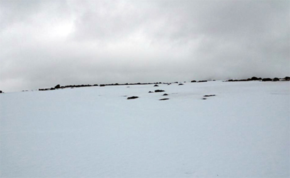 Gravnessett, an arctic cemetery strewn with half-buried remains. Photograph by Colin Dickey.