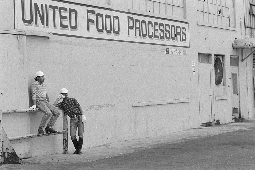 Fish cannery, San Pedro, California, 1989. Photograph by Ken Light.