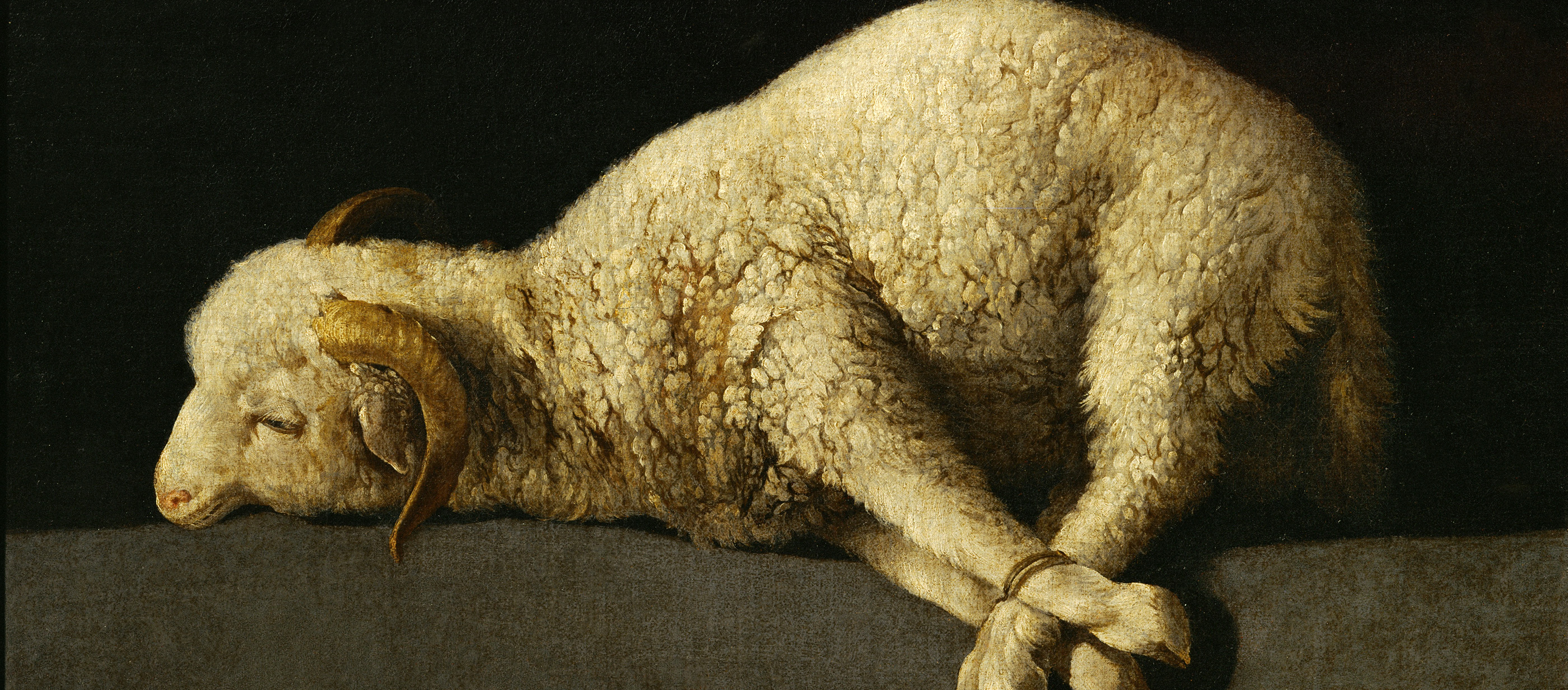 Agnus Dei, by Francisco de Zurbarán, c. 1635-40. Prado Museum, Madrid, Spain. 