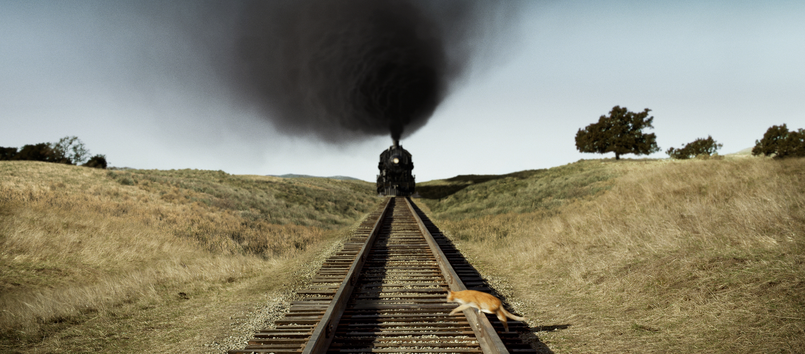 Color photograph of a cat stepping in front of an oncoming train.