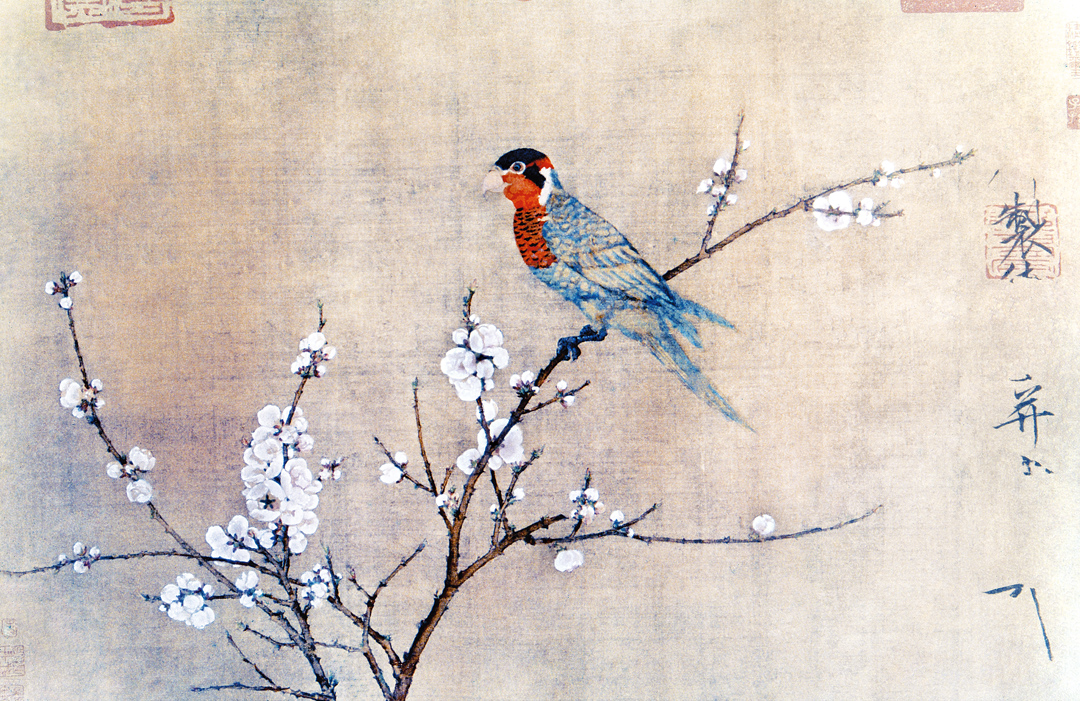 Five-Colored Parakeet on a Blossoming Apricot Tree, by Emperor Huizong, c. 1115. Museum of Fine Arts, Boston, Maria Antoinette Evans Fund.