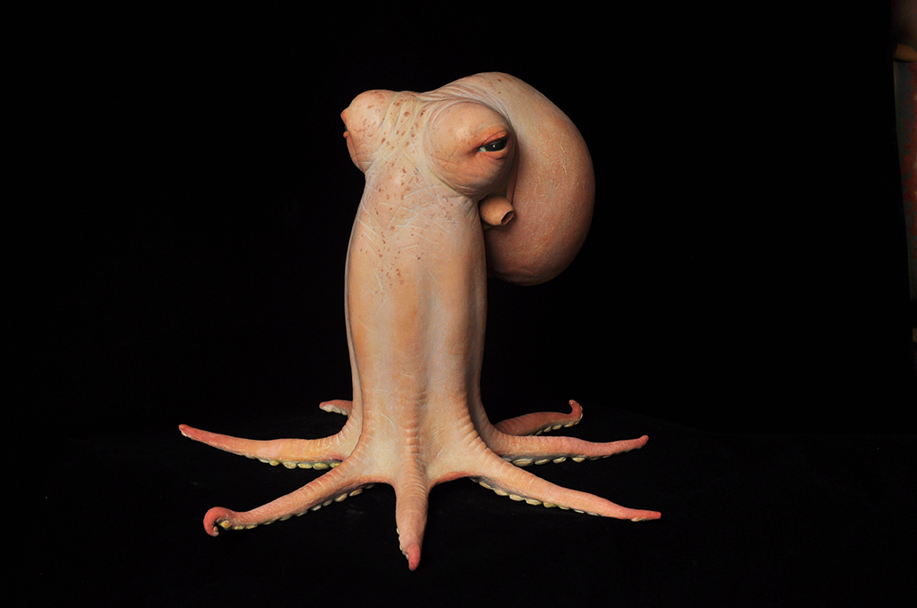 Octopus 1 (Codger), by Judy Fox, 2009-2011.