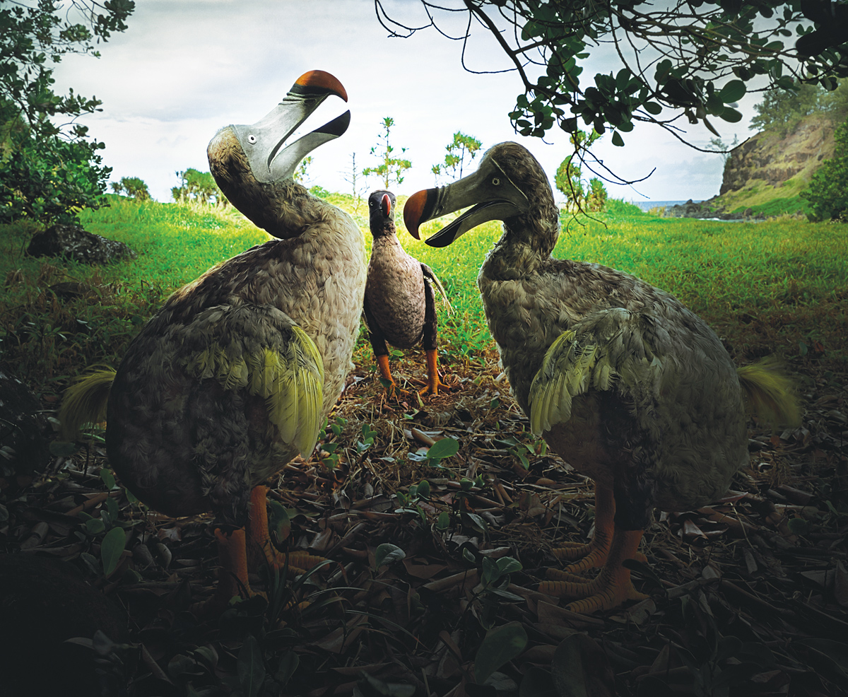 “Riviere des Anguilles #7, Mauritius,” 2002. Photograph by Harri Kallio. © Harri Kallio.