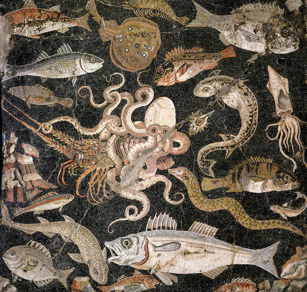 Aquatic life, mosaic, Pompeii, second century BC.