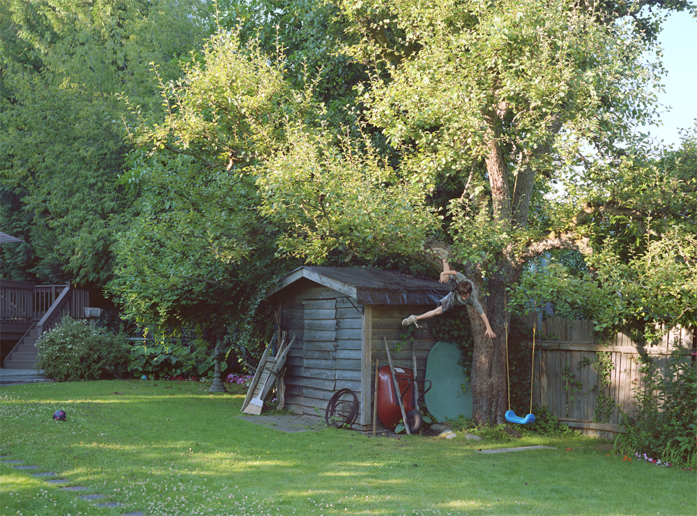 Color photograph of a boy falling from a tree.