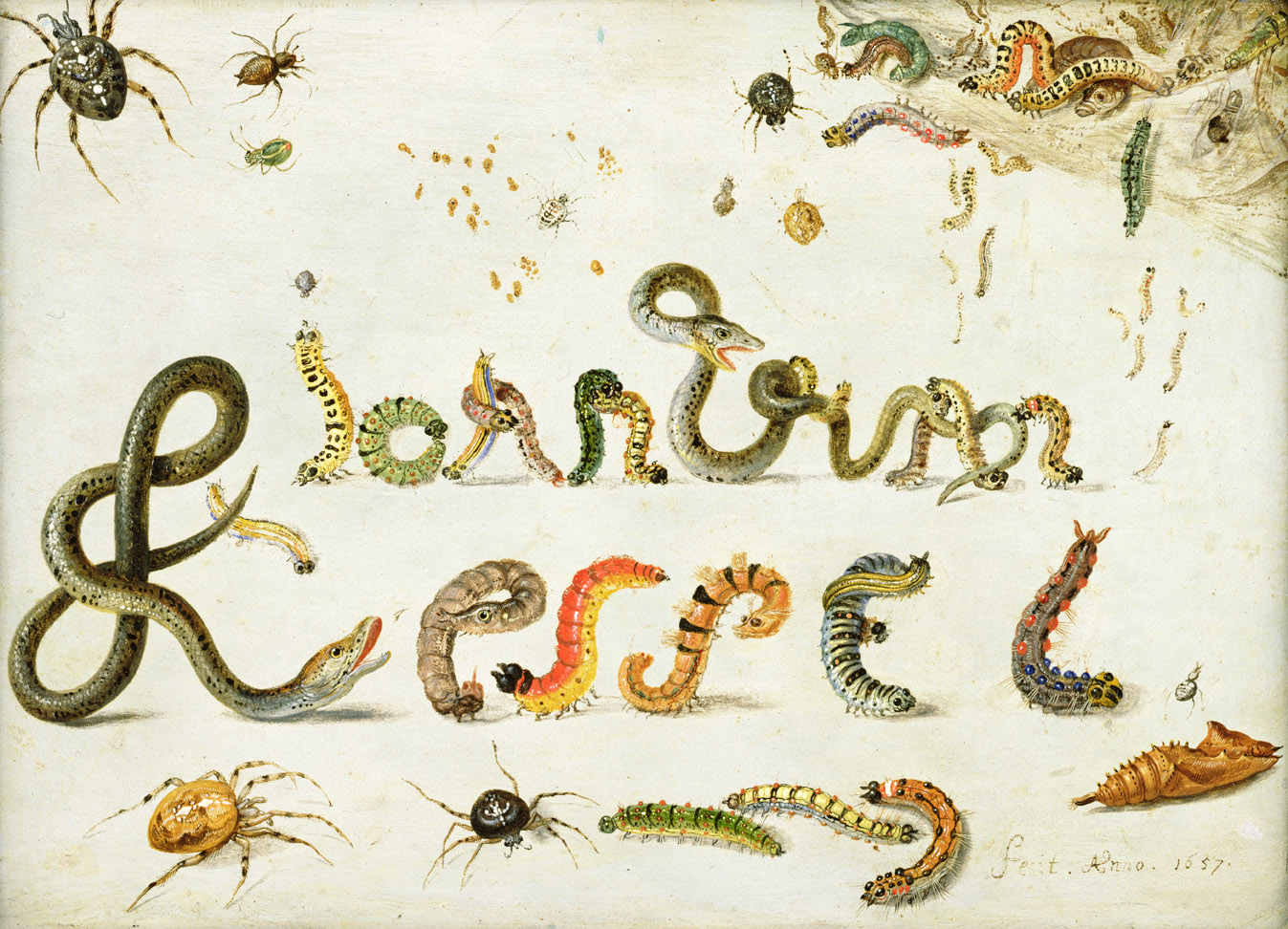 Spiders, snakes, and caterpillars spelling the artist’s name, by Jan van Kessel the Elder, 1657.