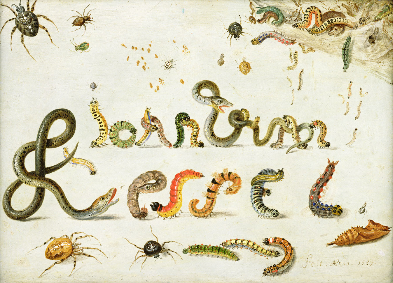 Spiders, snakes, and caterpillars spelling the artist’s name, by Jan van Kessel the Elder, 1657. 