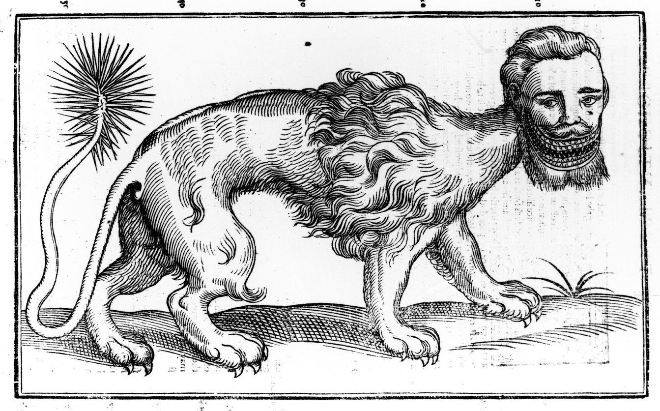 Manticore, illustration from Historie of Foure-Footed Beastes, by Edward Topsell, 1607. 