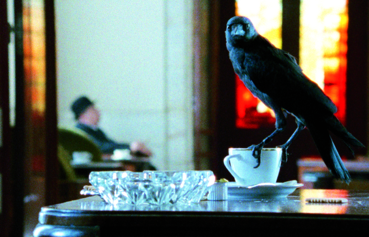 Film still from Looking for Alfred, directed by Johan Grimonprez, 2005