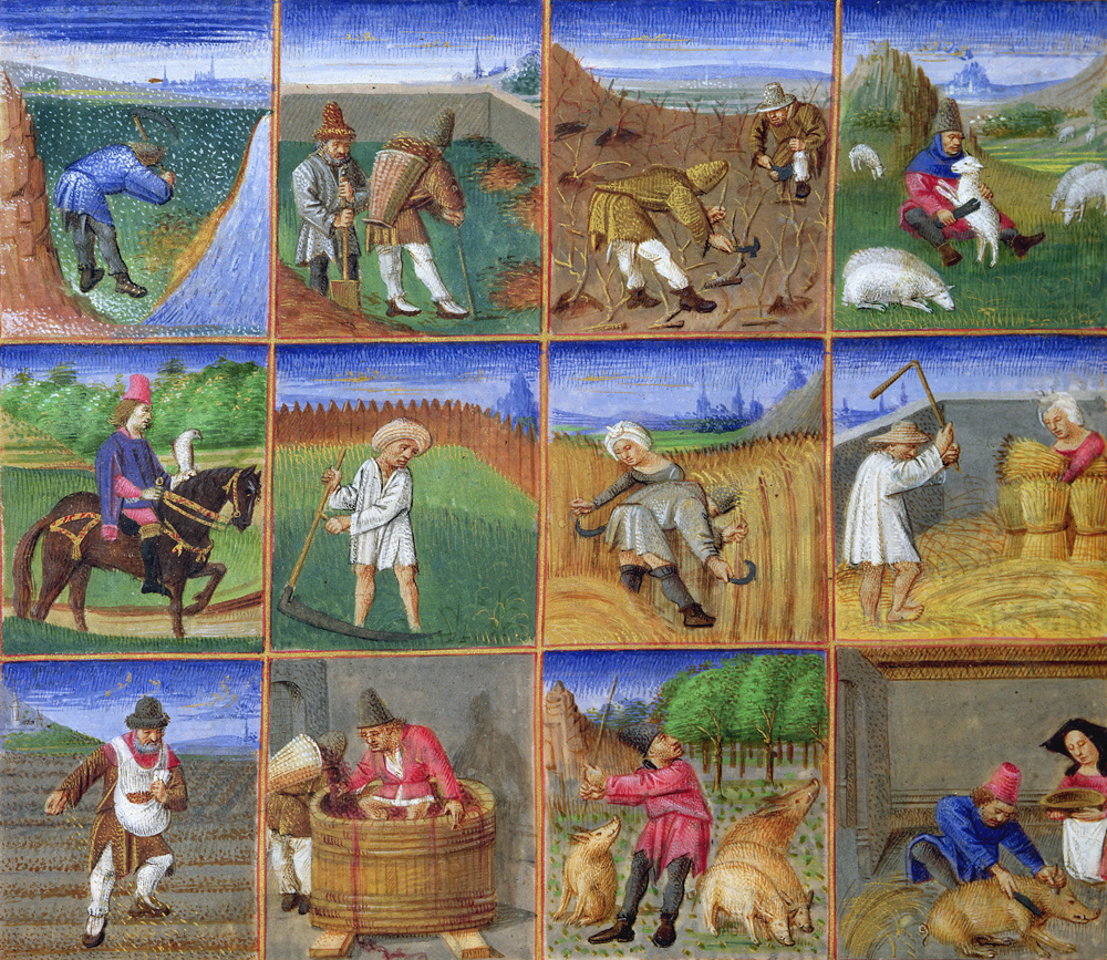 Medieval illuminated manuscript showing peasants working in a field.