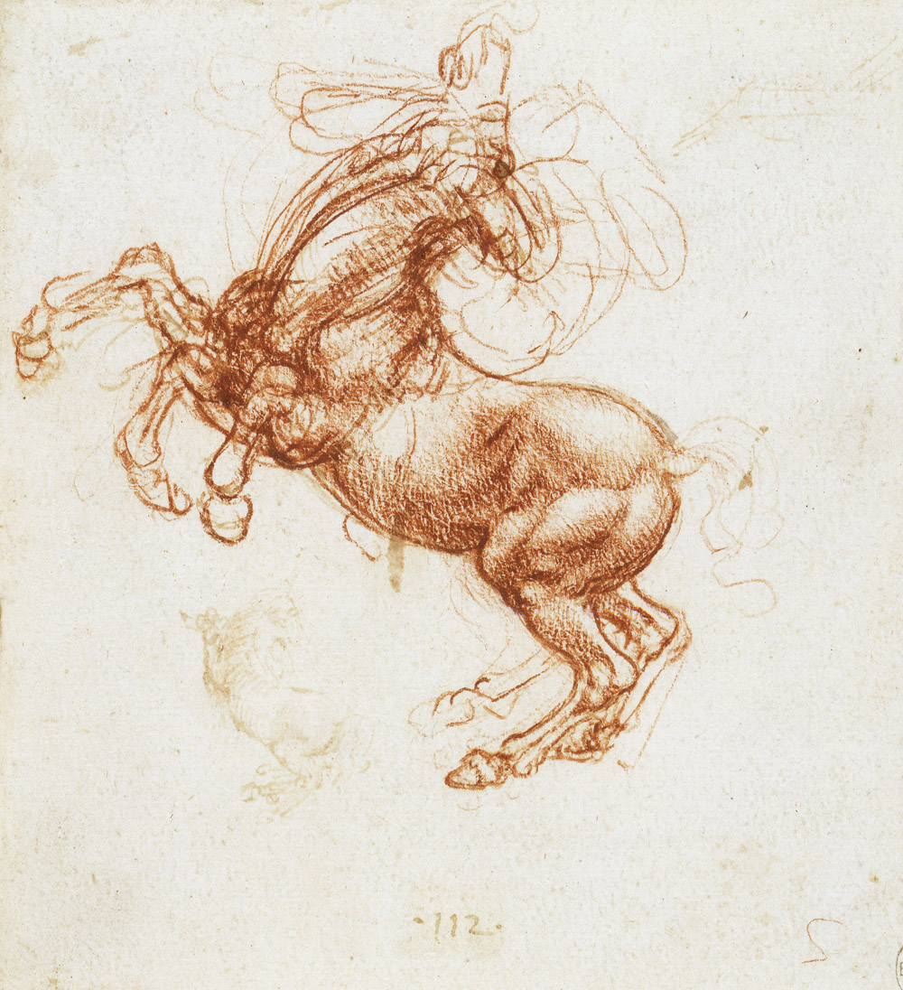 Rearing horse, by Leonardo da Vinci, c. 1505.