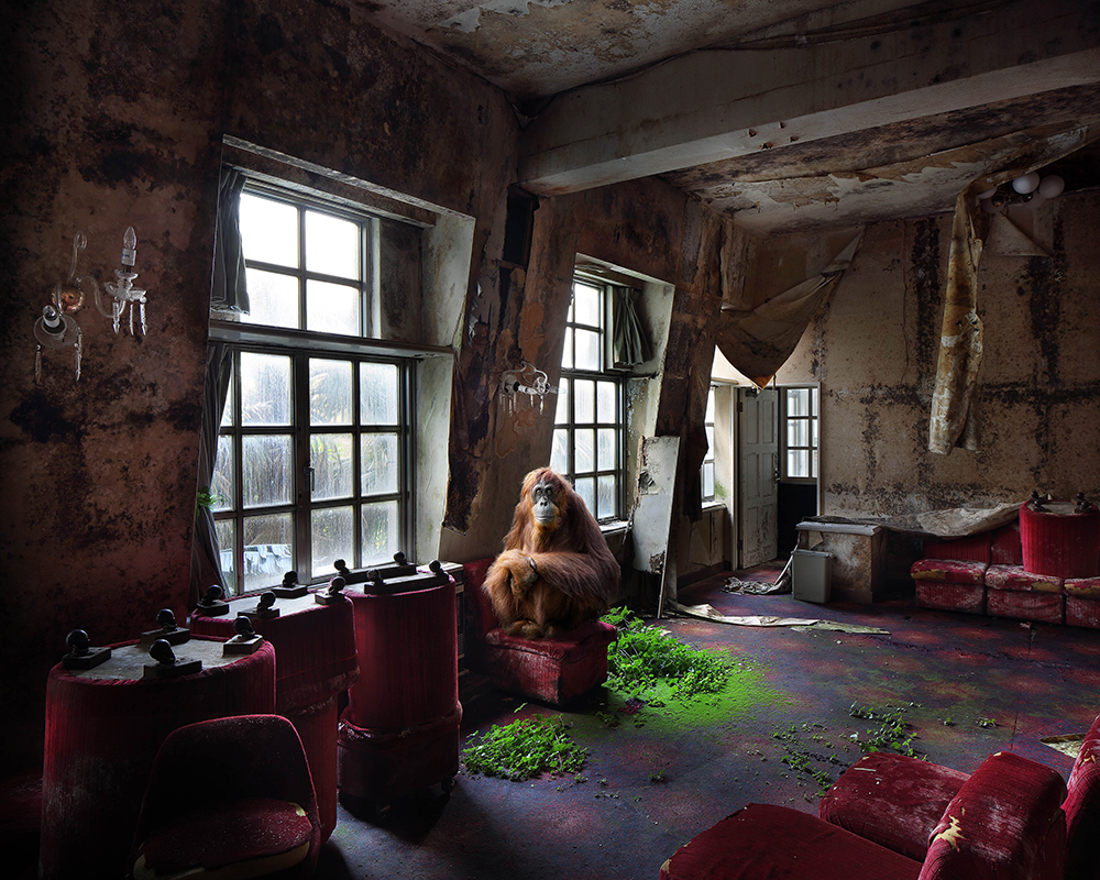 Arlette, from the series No Man’s Land, by Henk van Rensbergen, 2016. © Henk van Rensbergen, courtesy the artist. Arlette, from the series No Man’s Land, by Henk van Rensbergen, 2016. © Henk van Rensbergen, courtesy the artist.
