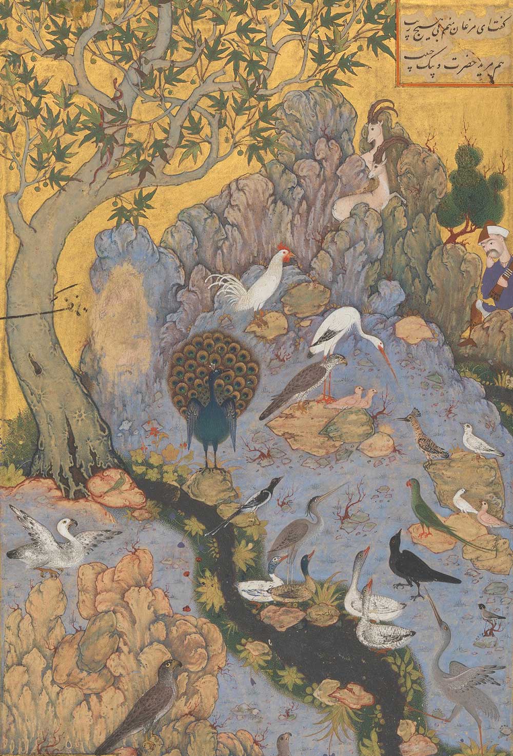 Gathering of birds around a stream and under a tree with a peacock in the center