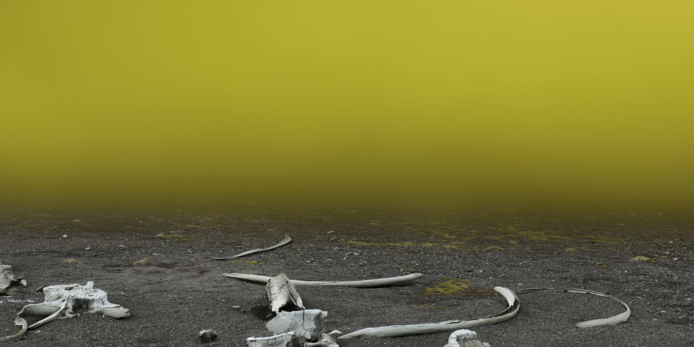 Loss of Profit Due to Scarcity (Antarctica), by Jessica Houston, 2018. Archival pigment print, 22 x 33 inches. © Jessica Houston, courtesy the artist and Art Mûr, Montreal. Loss of Profit Due to Scarcity (Antarctica), by Jessica Houston, 2018. Archival pigment print, 22 x 33 inches. © Jessica Houston, courtesy the artist and Art Mûr, Montreal.
