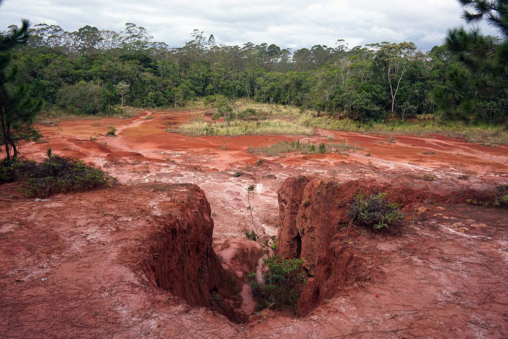 Deforestation outside São Paulo, 2017. Photograph by Moises Saman. © Moises Saman / Magnum Photos. Deforestation outside São Paulo, 2017. Photograph by Moises Saman. © Moises Saman / Magnum Photos.