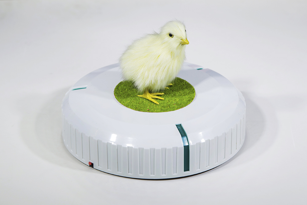 Rumba I: Incubator (for Parkett 99), by Cao Fei, 2017. Mini vacuum-cleaning robot and artificial chick.