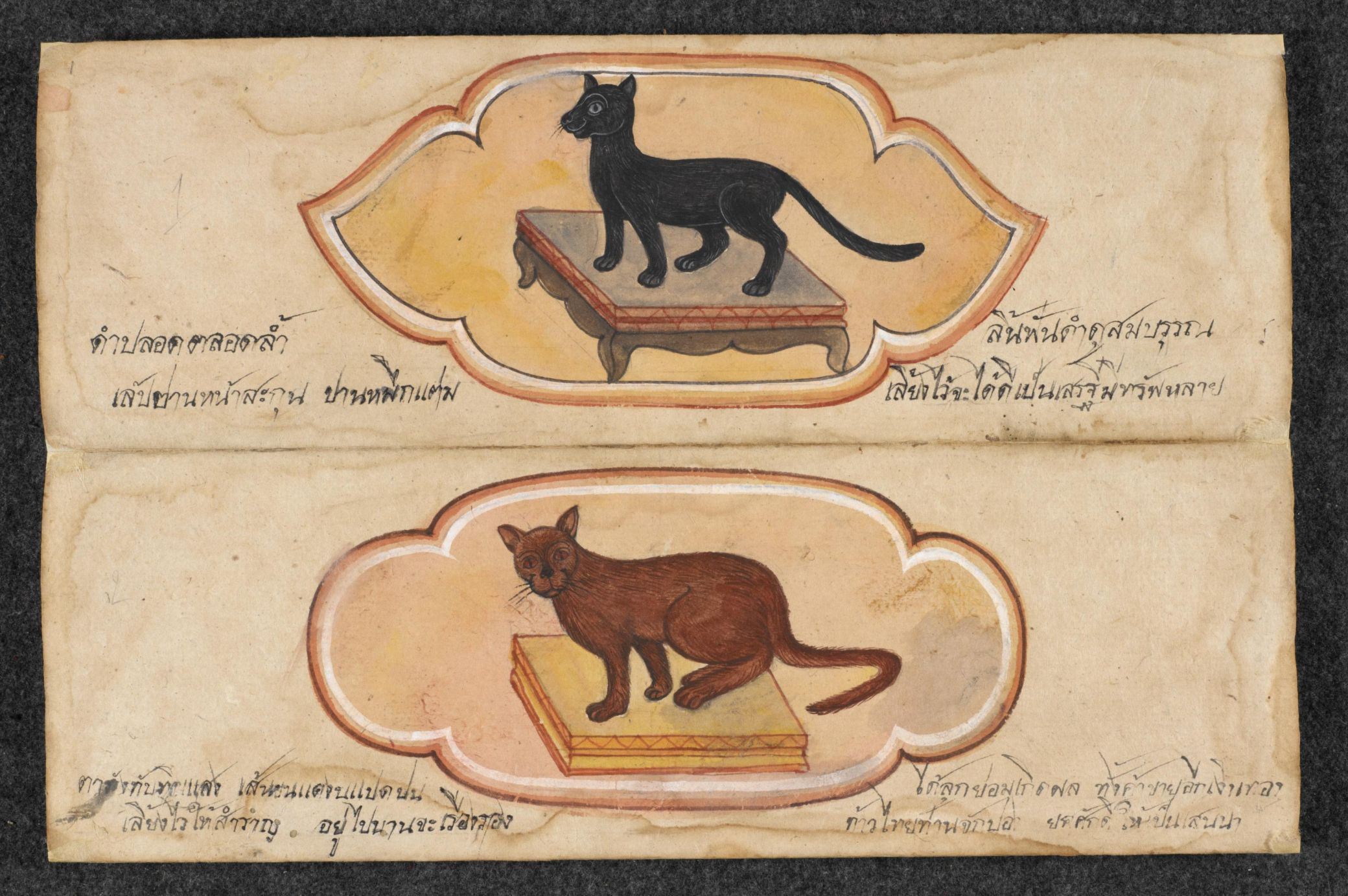 Treatise on Cats