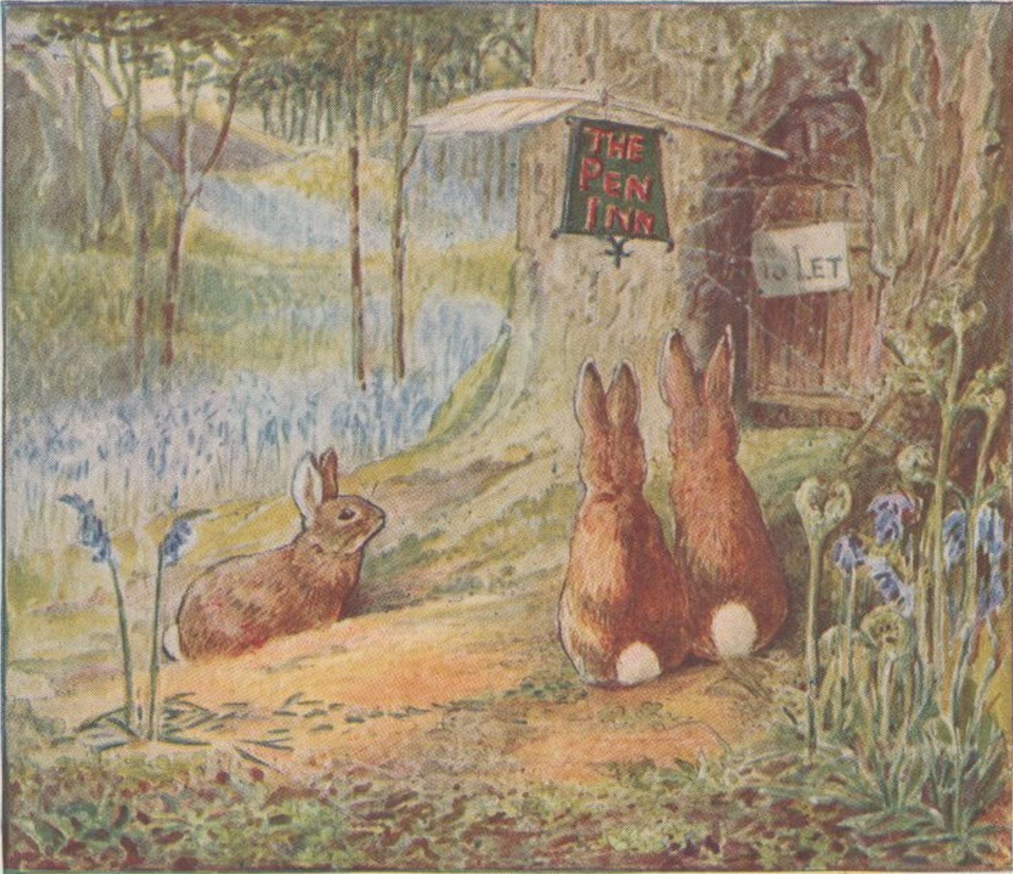 Peter Rabbit Peter Rabbit