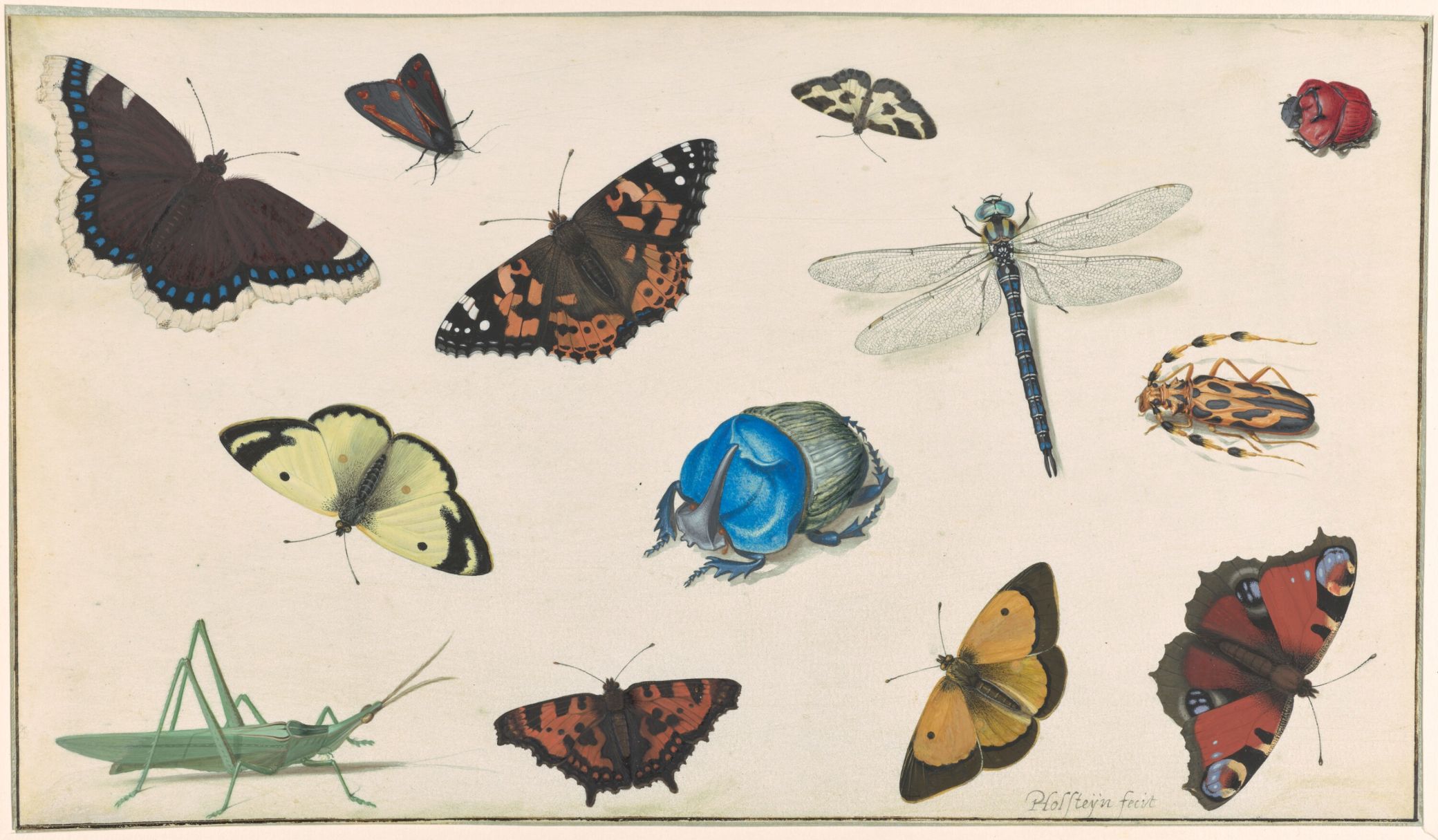 Sheet of Studies of a Dragonfly, Grasshopper, Butterflies, Moths, and Beetles, c. 1636 Sheet of Studies of a Dragonfly, Grasshopper, Butterflies, Moths, and Beetles, c. 1636
