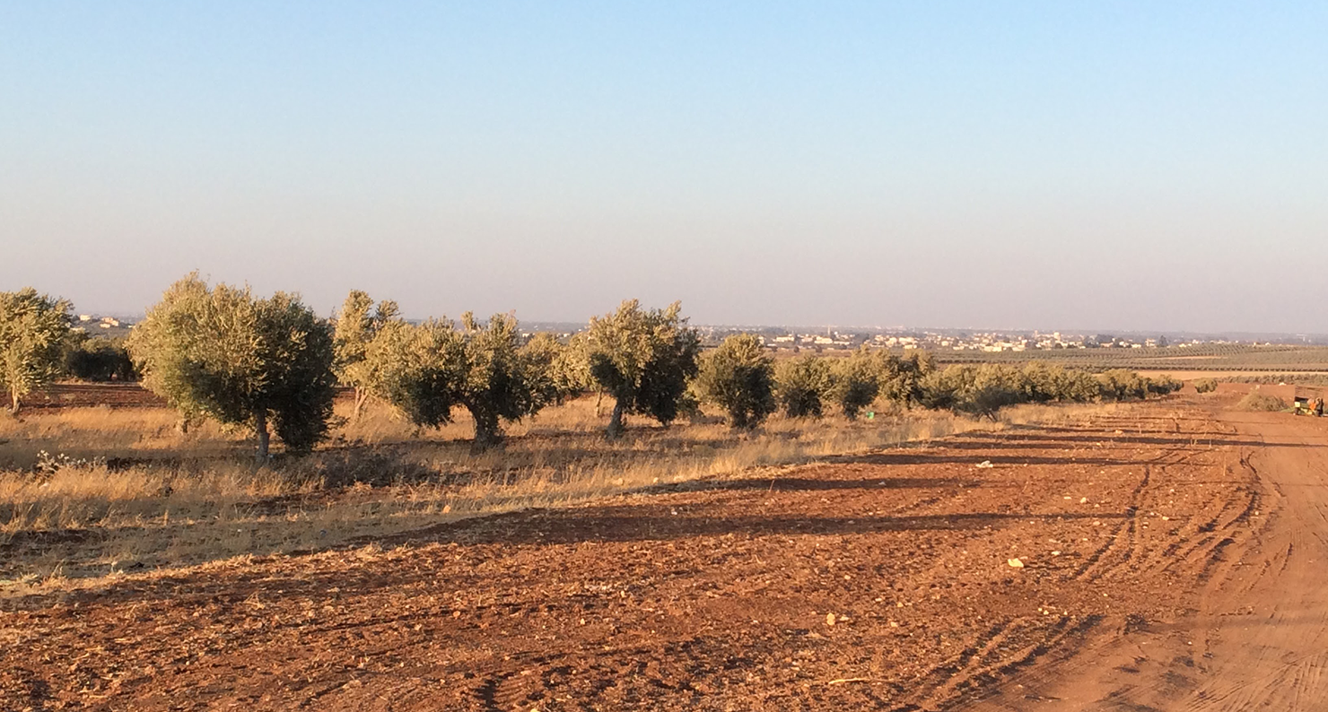 A view of Dara’a, Syria, from al-Ramtha, Jordan, 2014. Photograph by Rana B. Khoury.