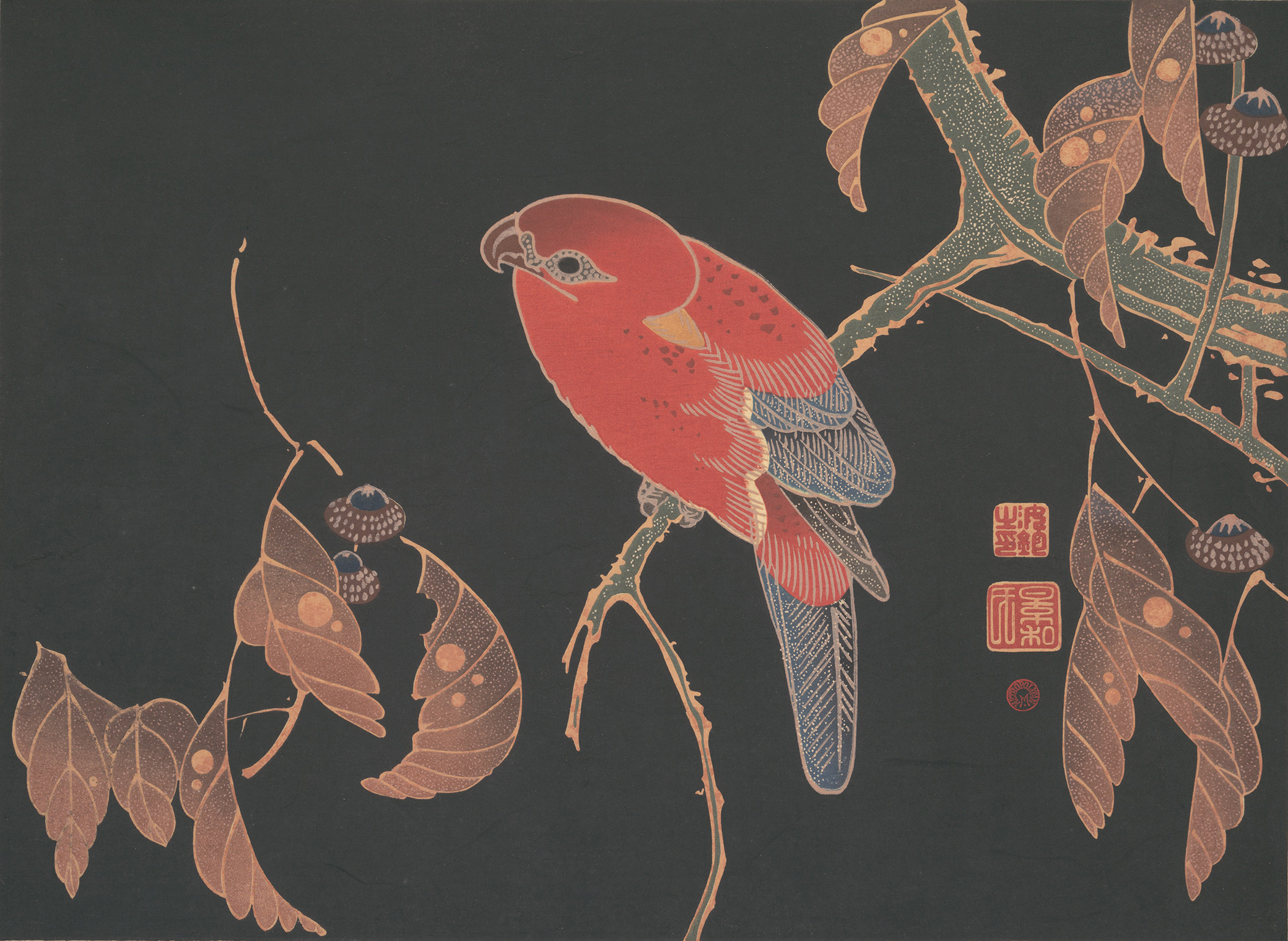 Red Parrot on the Branch of a Tree, by Itō Jakuchū, c. 1900. The Metropolitan Museum of Art, Rogers Fund, 1925.