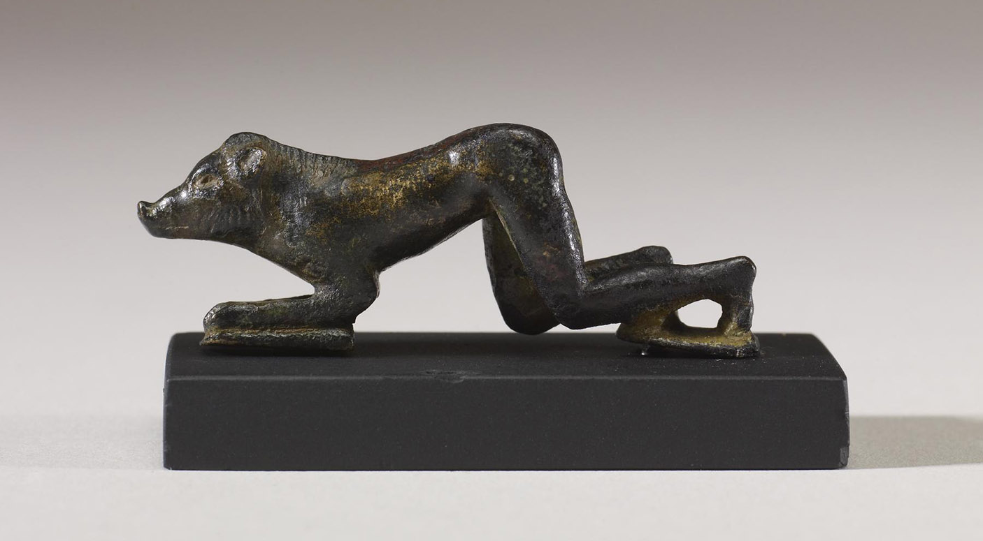 One of Odysseus' Men Transformed Into a Pig. One of Odysseus' Men Transformed Into a Pig.